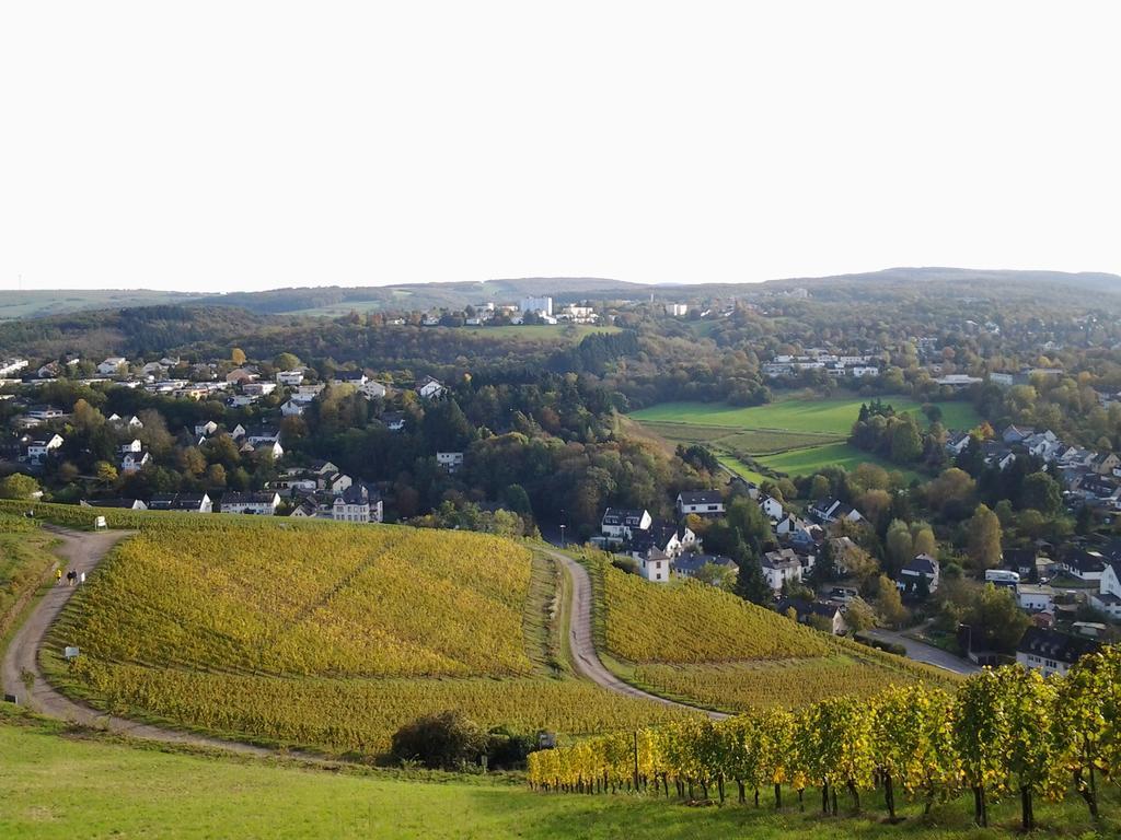 Saar-Mosel-Tal Apartment คอนซ์ ภายนอก รูปภาพ